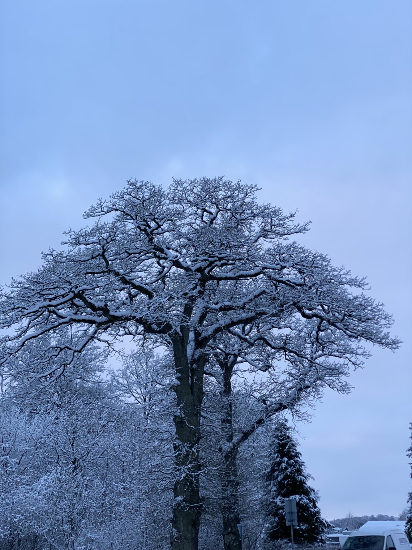 100% - gå mig glad - gåmensduarbejder - gå - går - gåtur