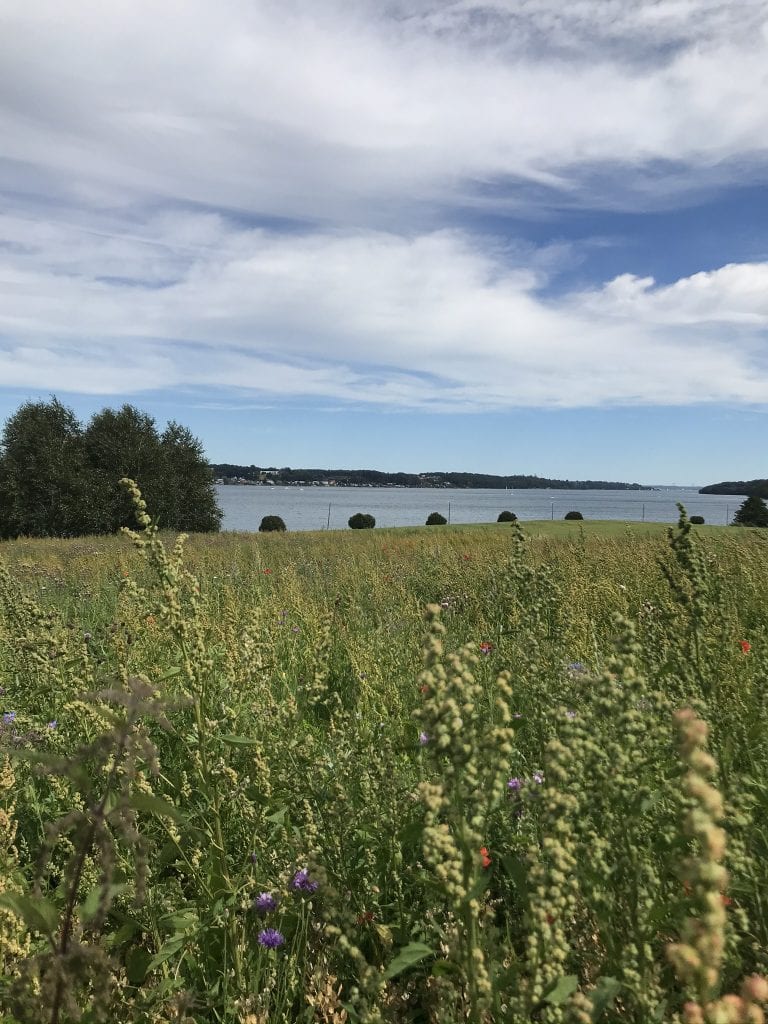 5- nemme- gåtips - hverdag - gåtur - gå mig glad - gådigsundinaturen - gåmensduarbejder -