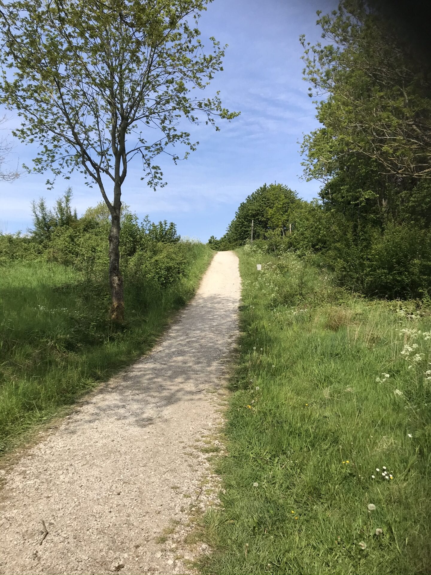 7 dages motivation - gåtur - gå - går - gik - Gå Mig Glad- smertefri - gåmensduarbejder - gådigsundinaturen- gåmigglad