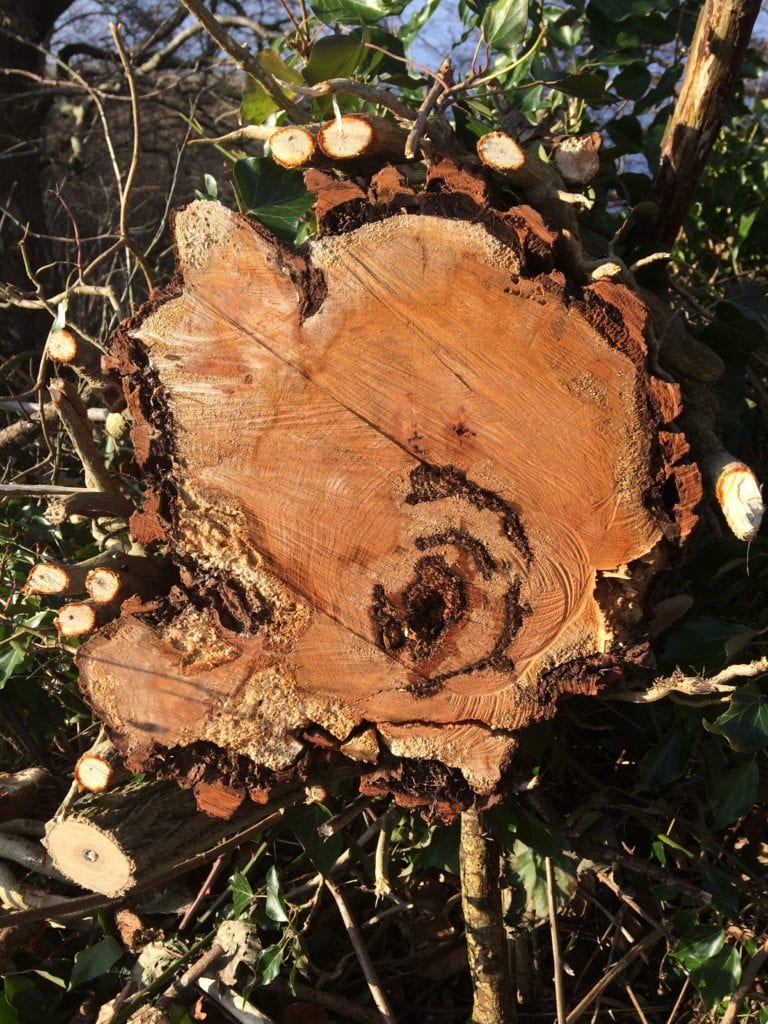 Heidi Møller- Gå Mig Glad - gå - gåtur