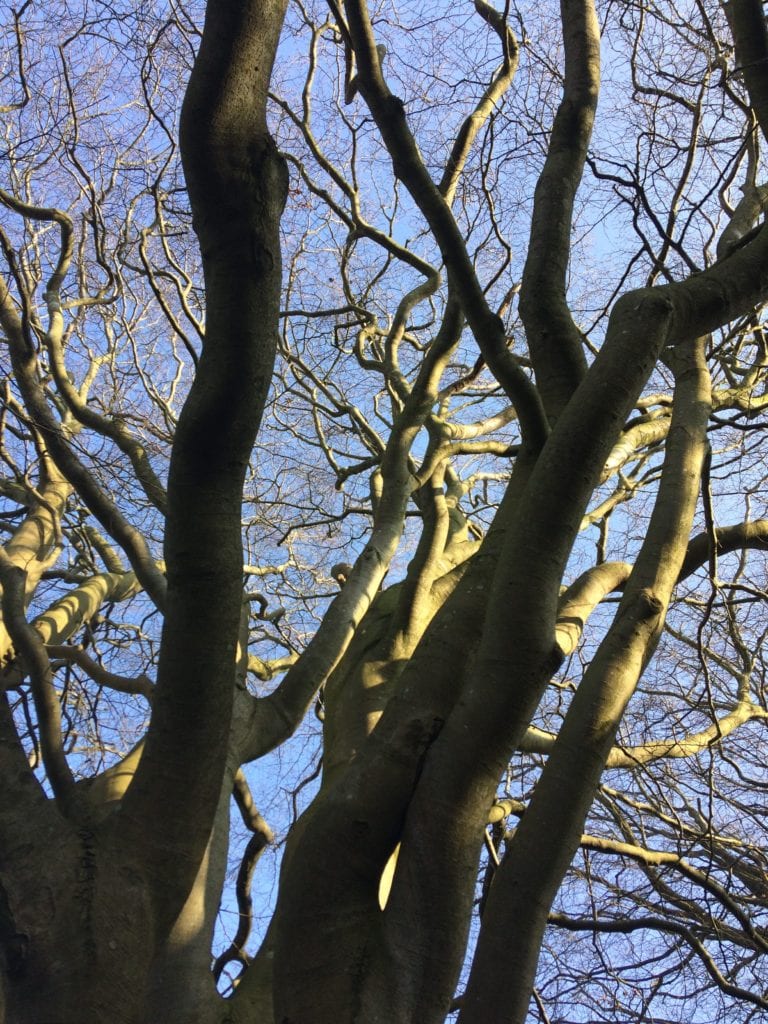 Heidi Møller- Gå Mig Glad - gå - gåtur