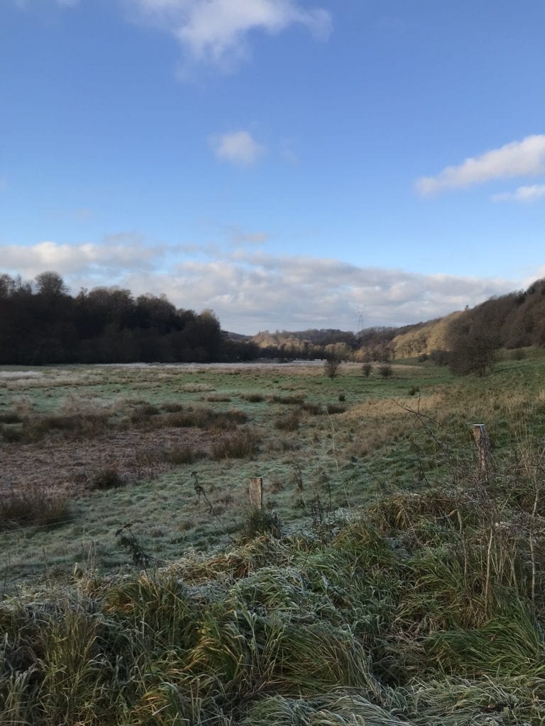 Forretning - Gå Mig Glad