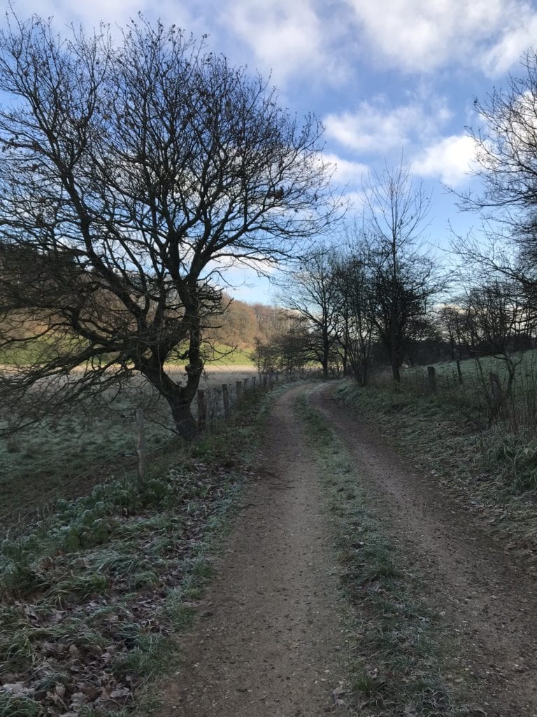 Frækt - Gå Mig Glad