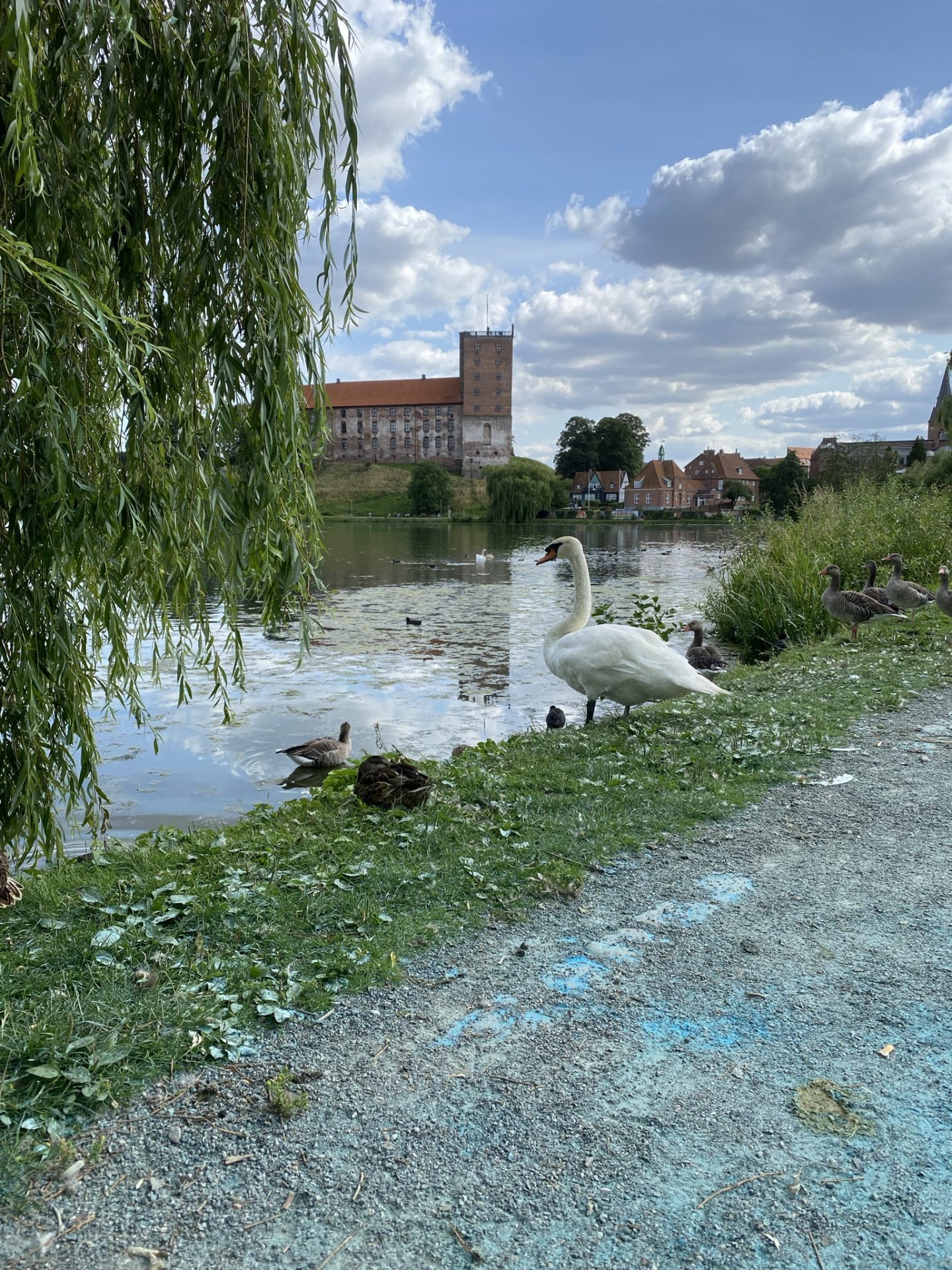 Gå MIg Glad - gå mens du arbejder - 500 - skridt