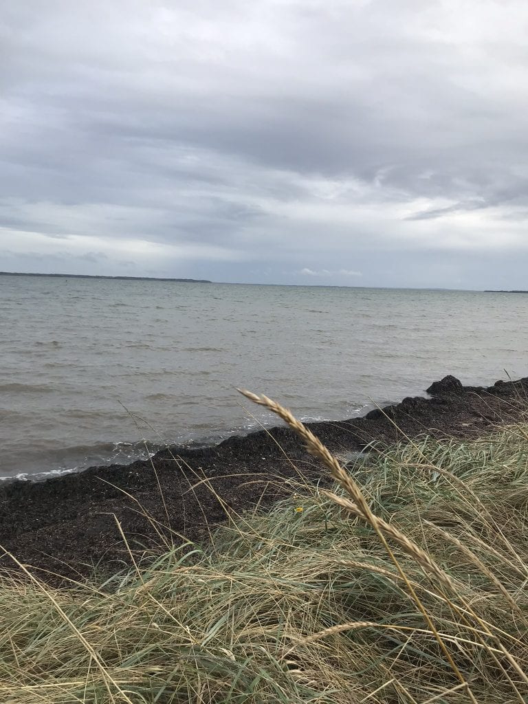 Gå Mig Glad - 30 minutter - glad