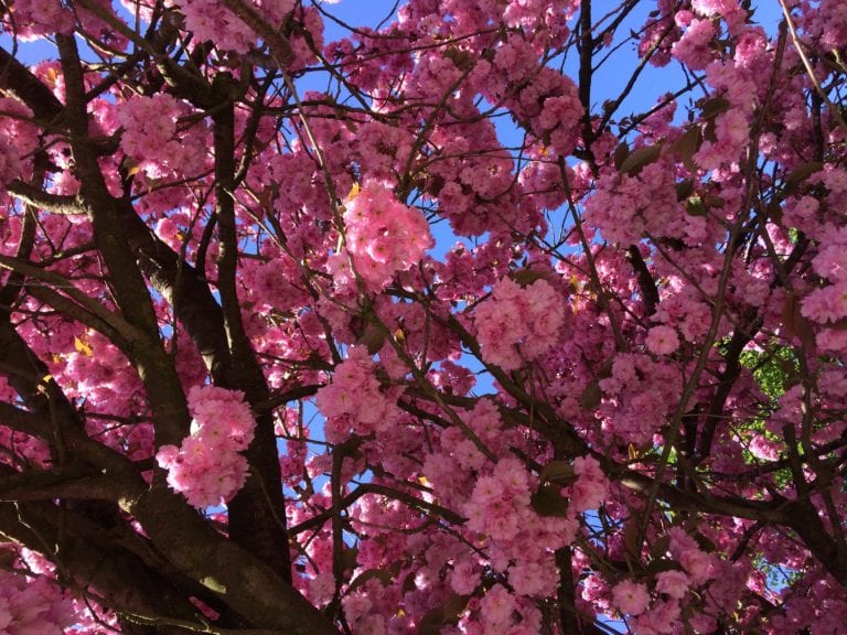 Gå Mig Glad - Berlin