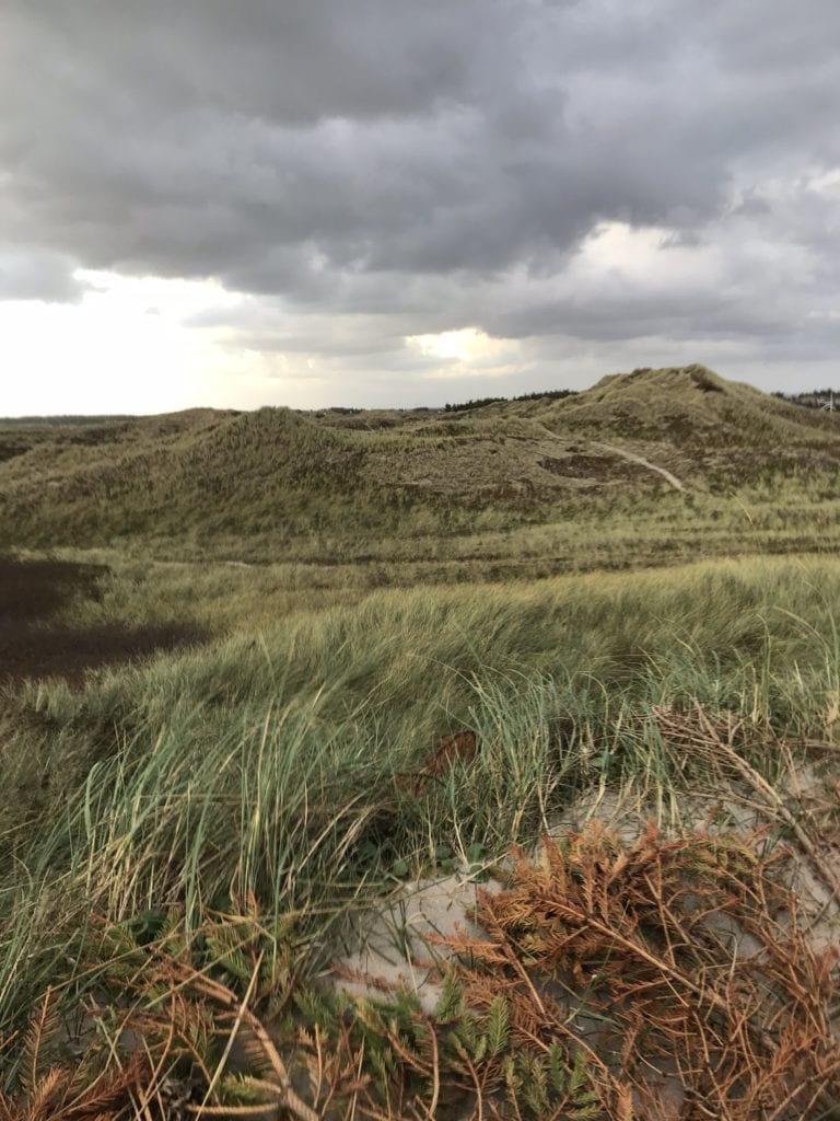 Går - Gå Mig Glad - Falck - Foredrag