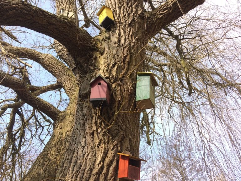 Gå Mig Glad- Heidi Møller- gå tur- hilse