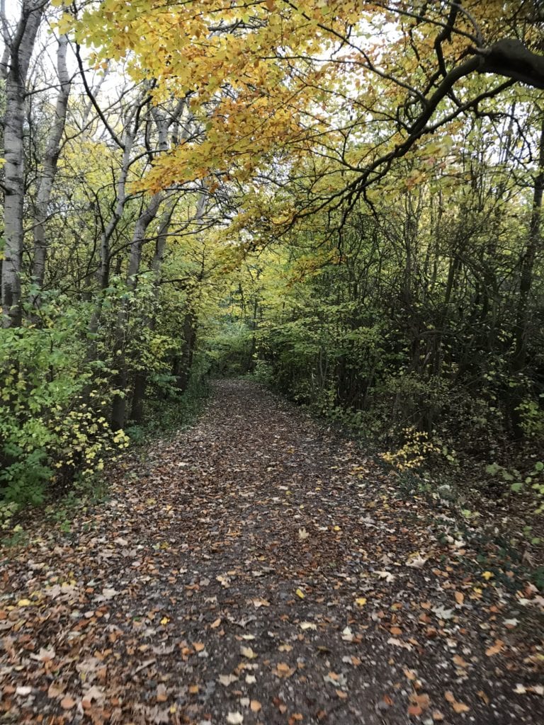 Gå Mig Glad -problemer- Netværksgåtur - problemløsende