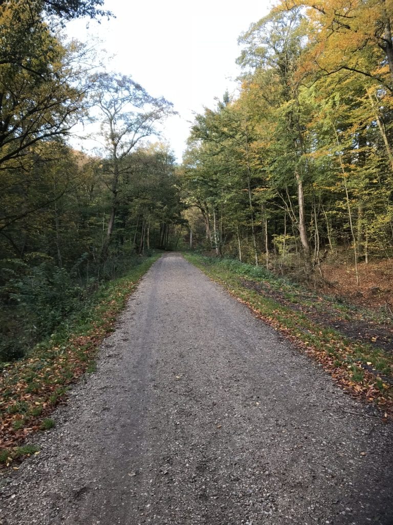 Gå Mig Glad - Vigtigste - gåtur