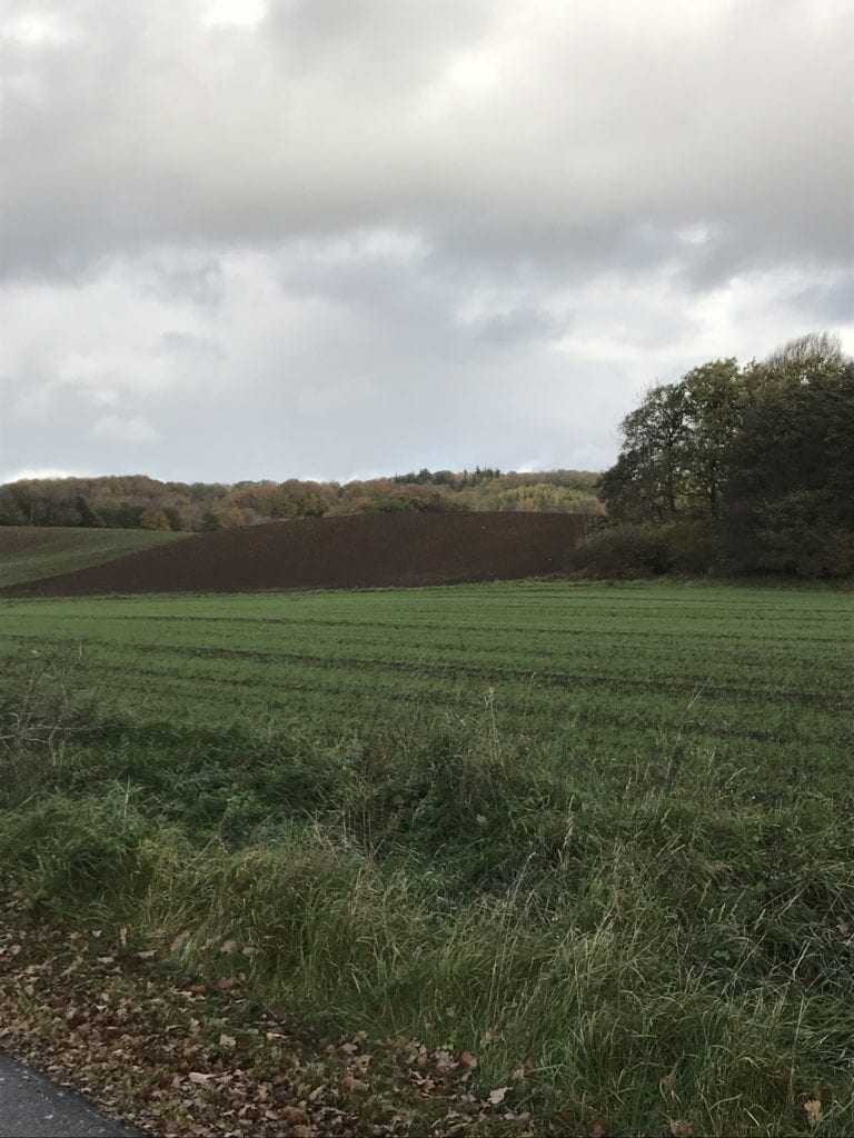 Gå Mig Glad - økonomi - forbrug eller frihed