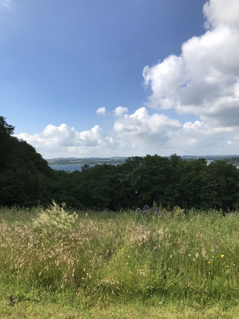 Gå Mig Glad - gå - gåtur - Mie Schmidt