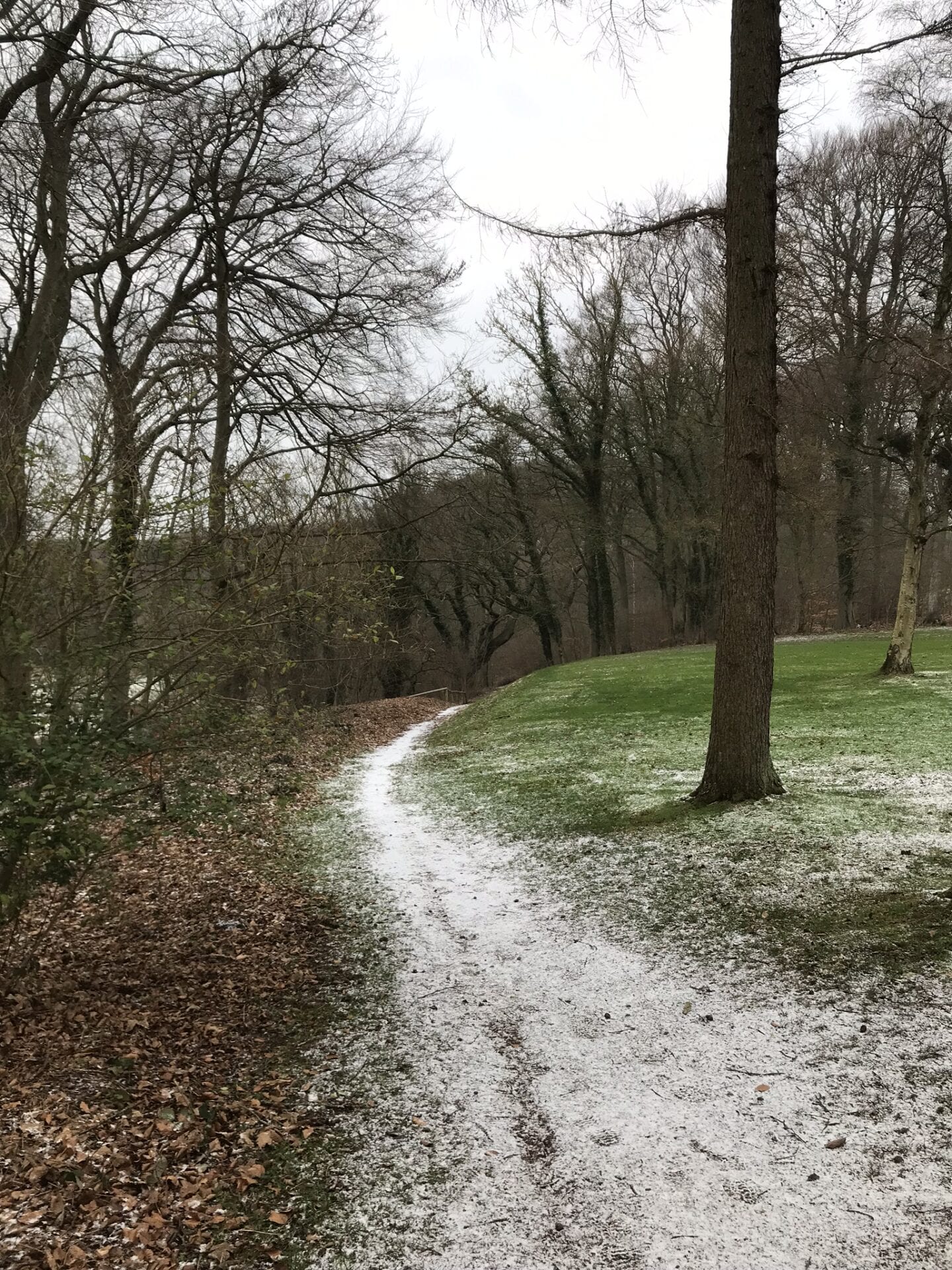 Gå Mig Glad - gå - gåtur - møgvejr - musik