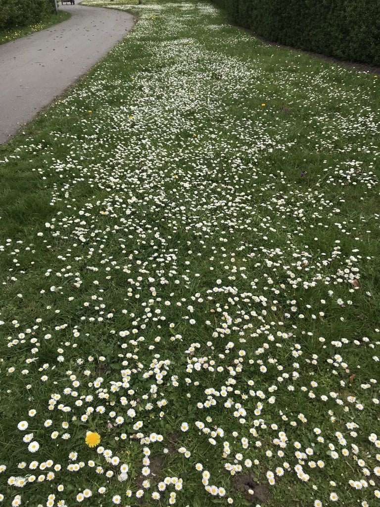 Gå Mig Glad - gå - gåtur - mulighed