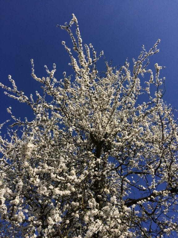 Gå Mig Glad - gåtur