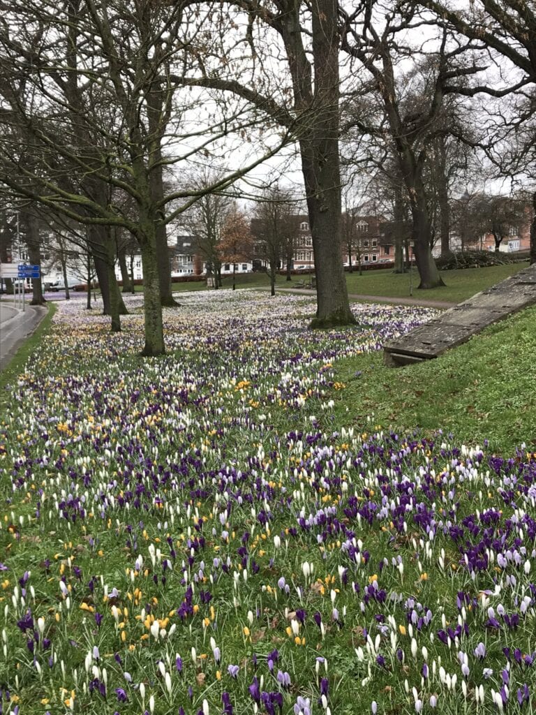 Gå Mig Glad - gåtur - gå - HIV