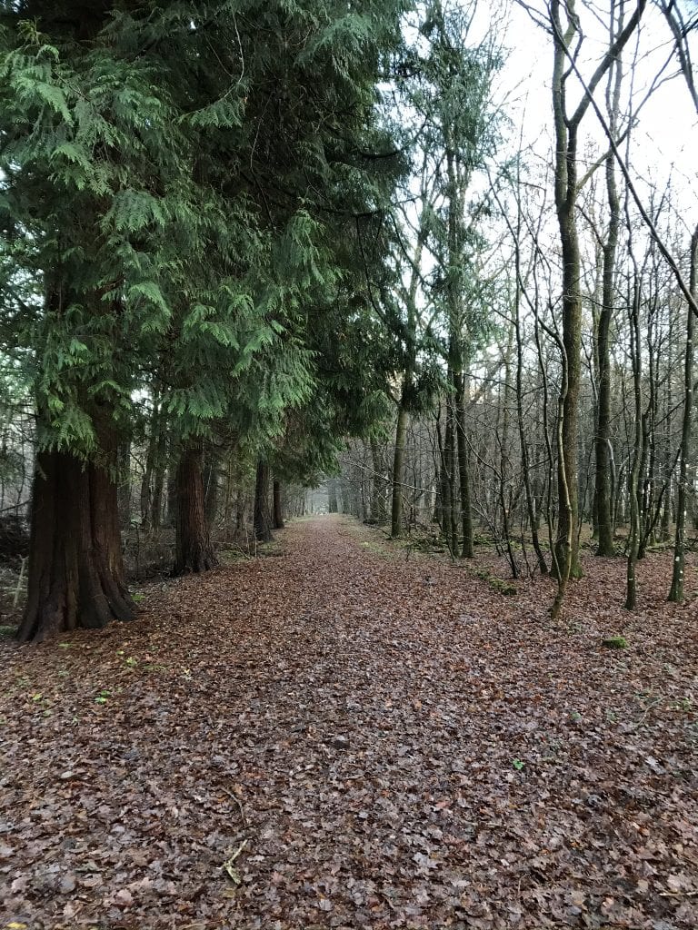 Gå Mig Glad - gåtur - gå - rig