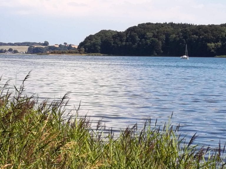 Gå Mig Glad - gåturene - energi