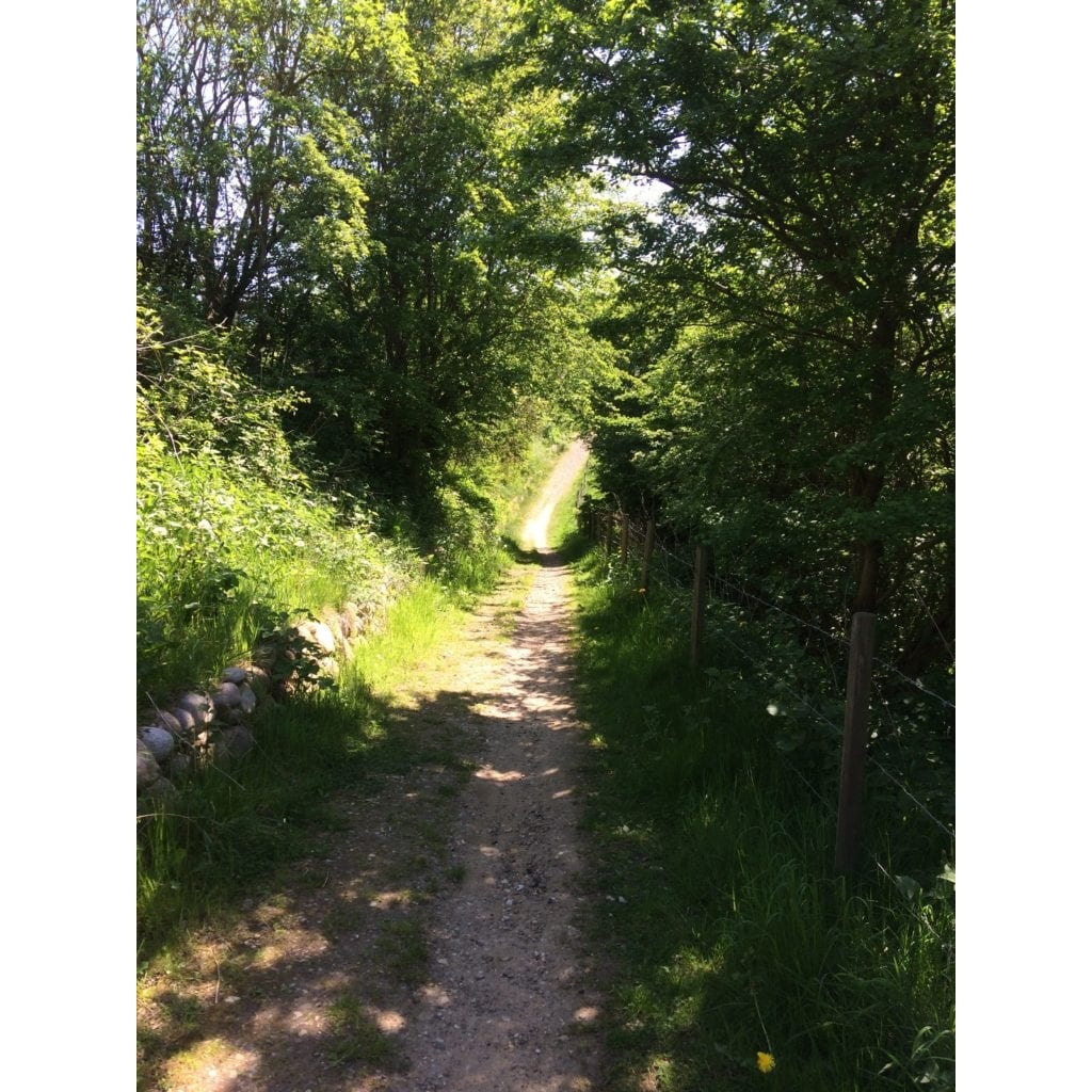 Gå Mig Glad - hvem - madspild