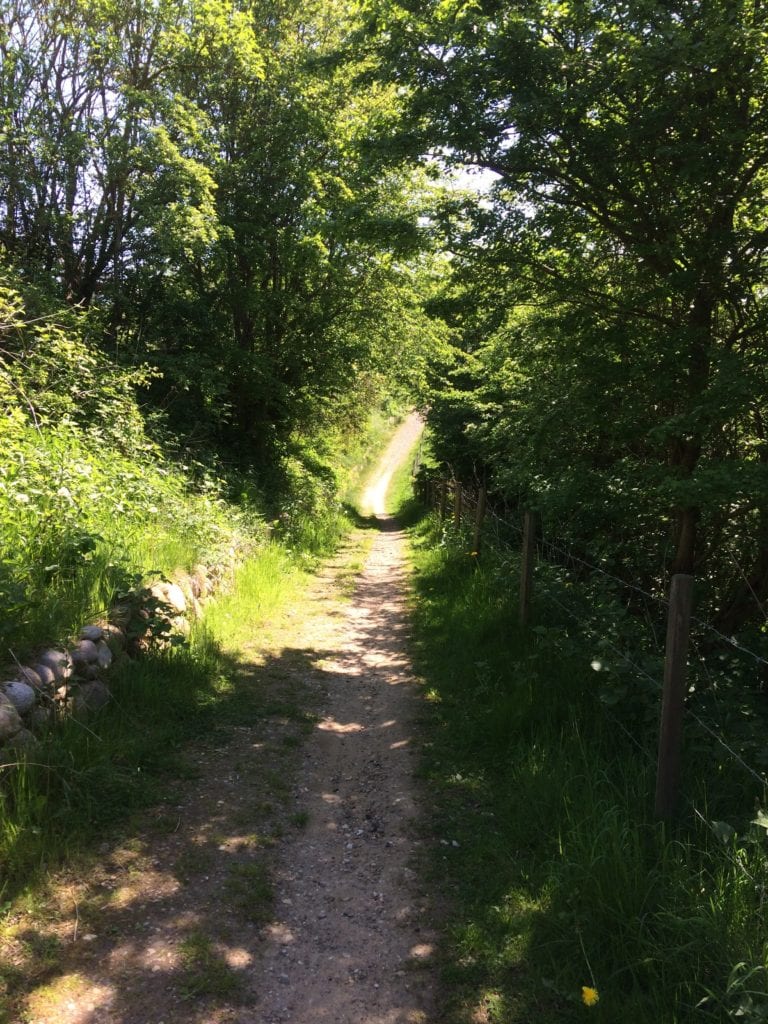 Gå Mig Glad - hvem - madspild