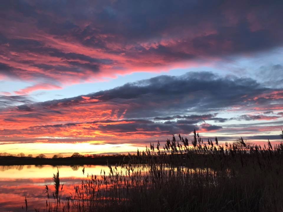 Gå Mig Glad - købe - Lisbet Winther