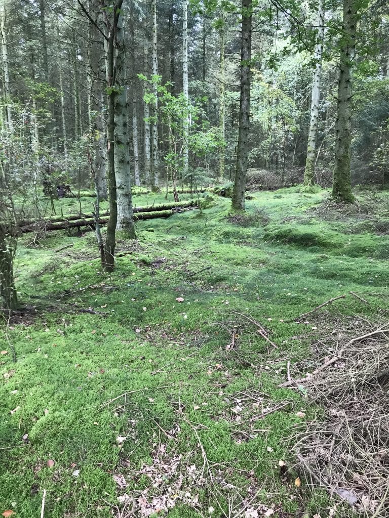 Gå Mig Glad - marmelademad - gåtur - gå