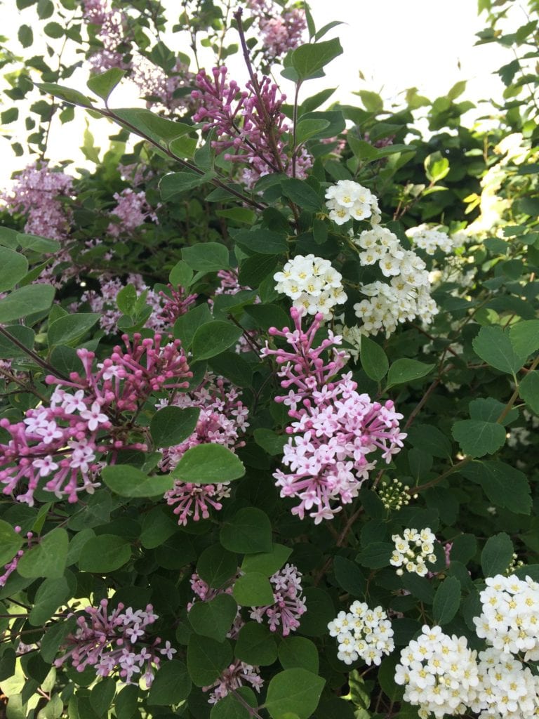 Gå Mig Glad - anerkendelse