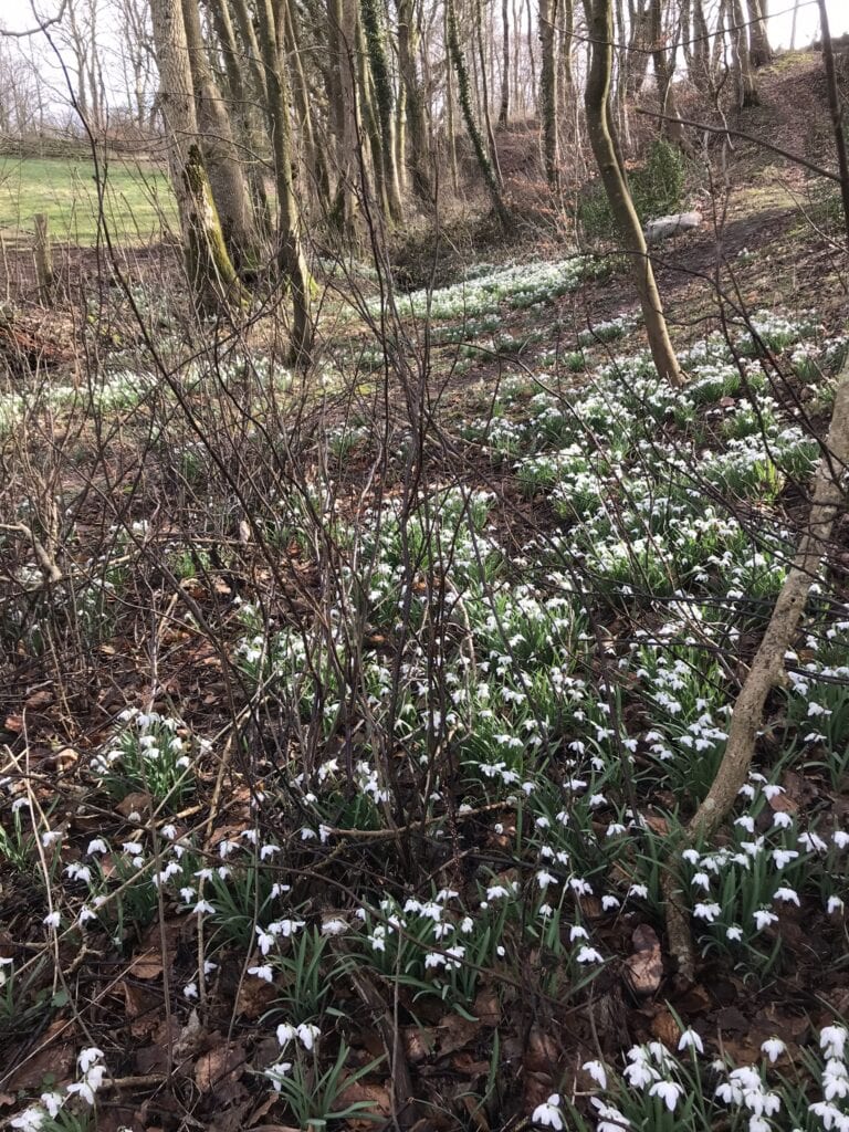 Gå Mig Glad - svært - gåtur - gå - går