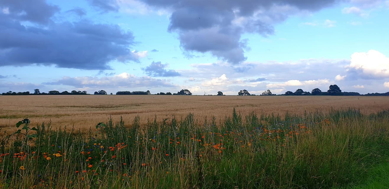 Helle Halken - Usund -gåmigglad - gåmensduarbejder - gådigsundinaturen - gå - gåtur