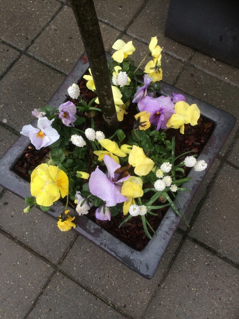 Gå Mig Glad - gåtur- gå - går