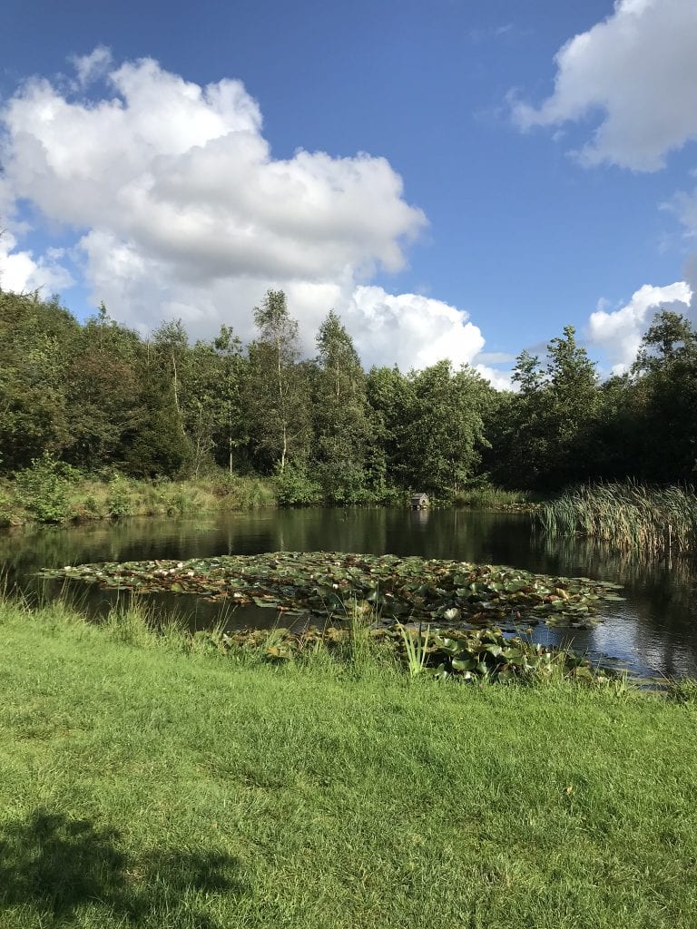 gøre - Gå Mig Glad - gåtur - gå