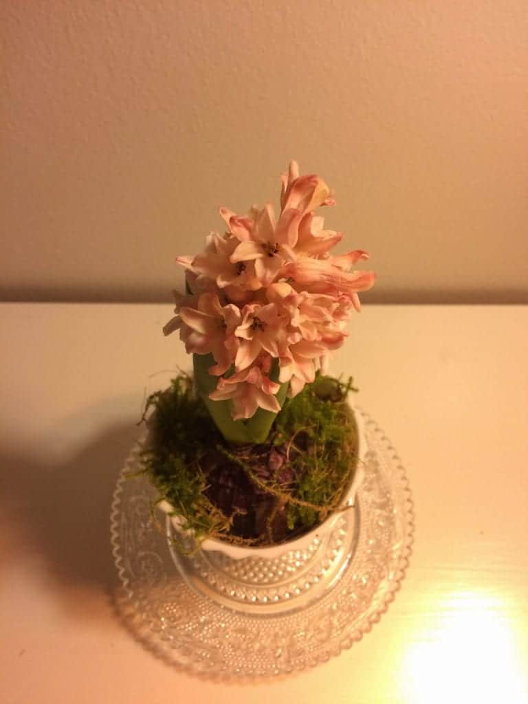 Heidi Møller- Gå Mig Glad- lægen flytter ind - gå - gåtur