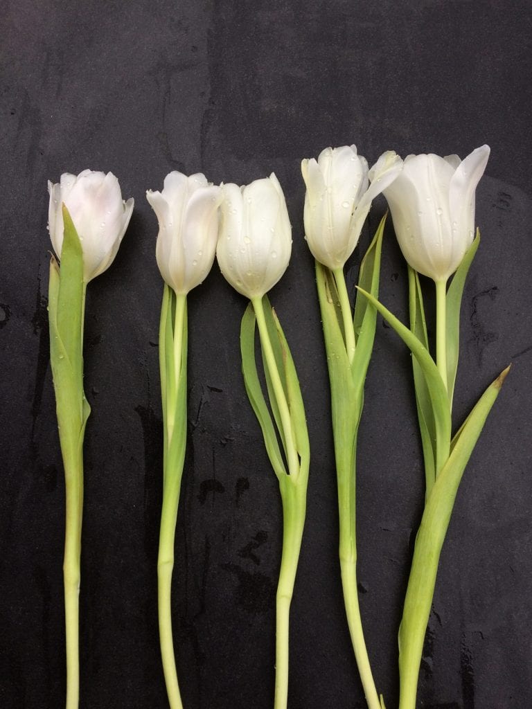 Heidi Møller- Gå Mig Glad- gaamigglad- gå - gåtur