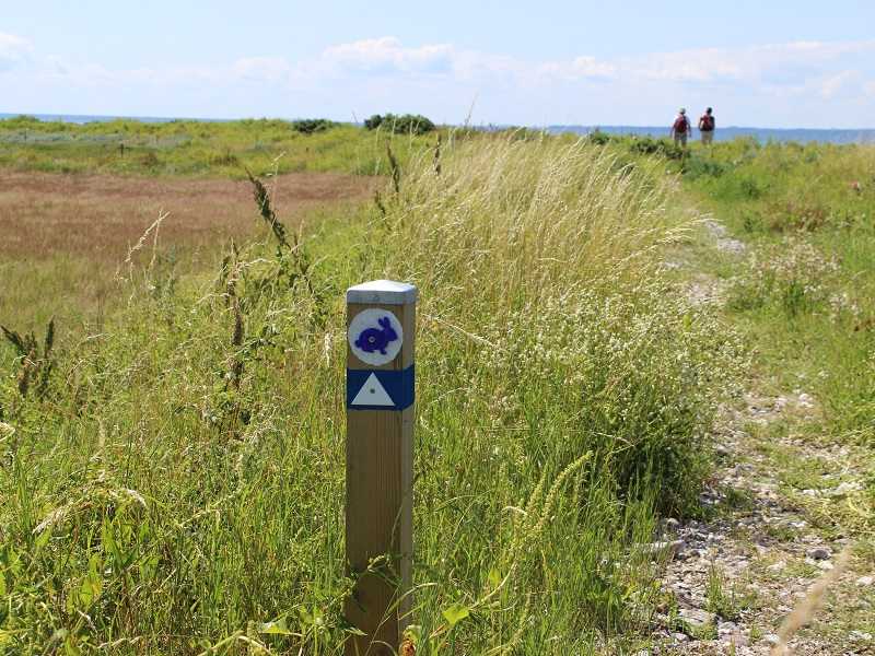 Kaninoen-pael-med-blaa-kanin- Birgit Juel Martinsen - Writers walk -
