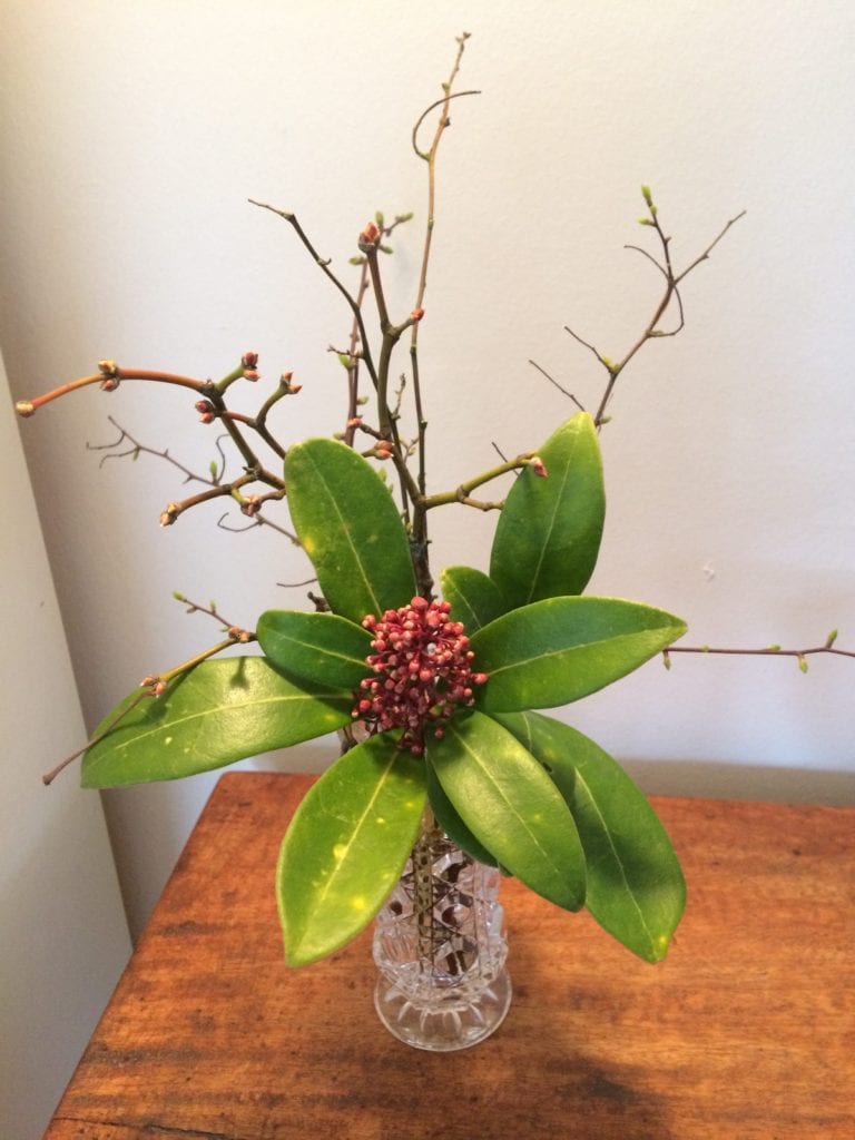 Heidi Møller- Gå Mig Glad - gå - gåtur