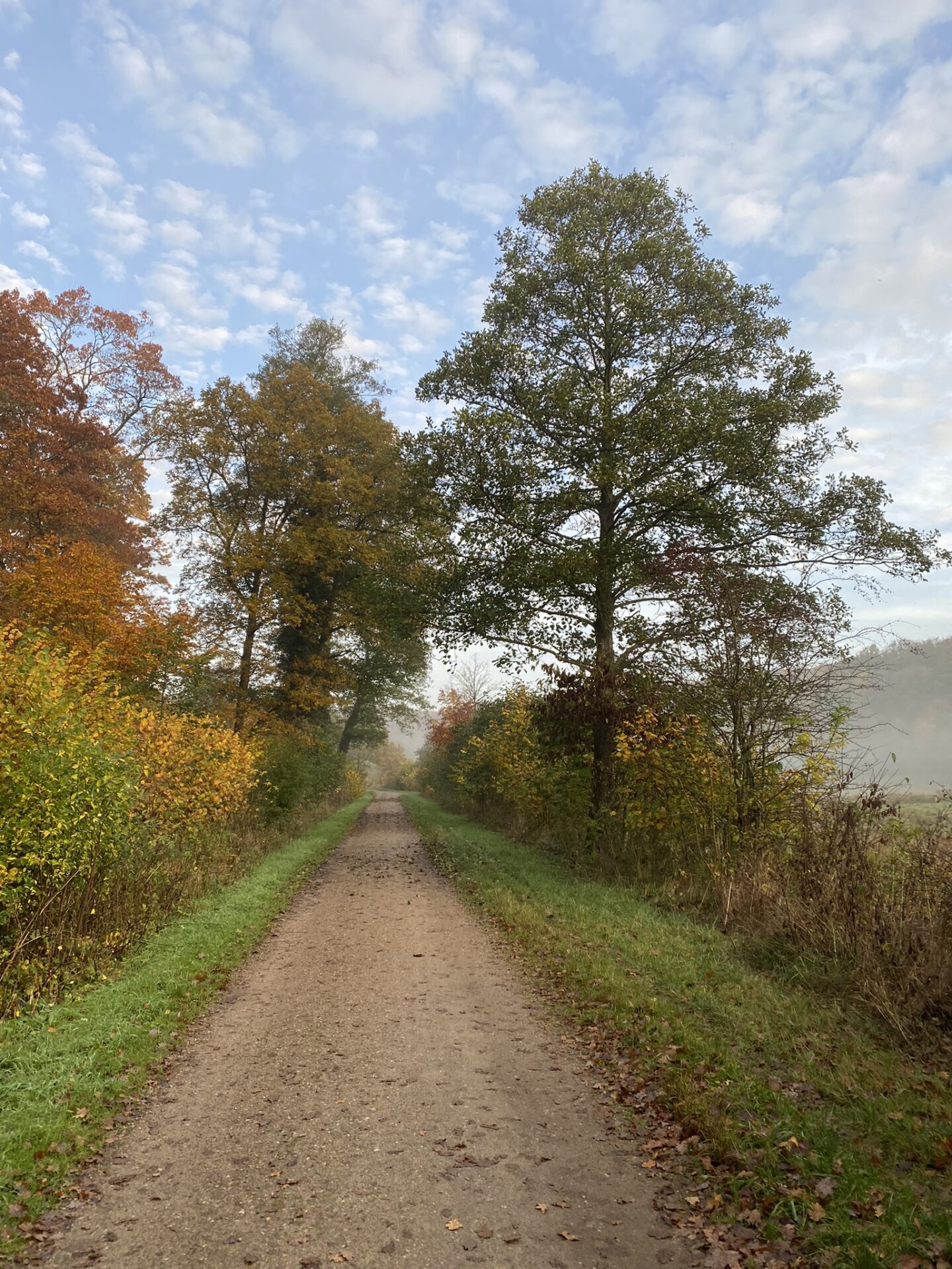 Naturen - gå mig glad - gå men du arbejder - Heidi Møller - Kolding