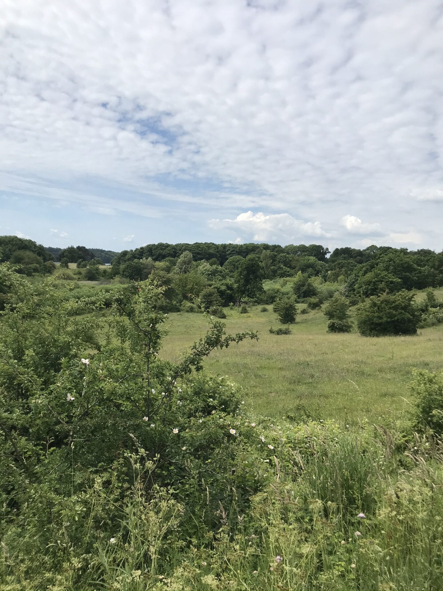 Normal - unormal - normalt - Gå Mig Glad - gåmensduarbejder - gådigsundinaturen