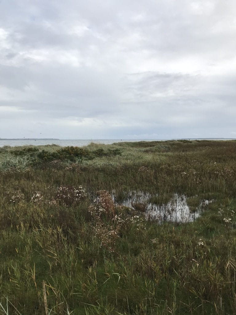 Spar penge ved at gå - gå - gåtur - Gå Mig Glad - går