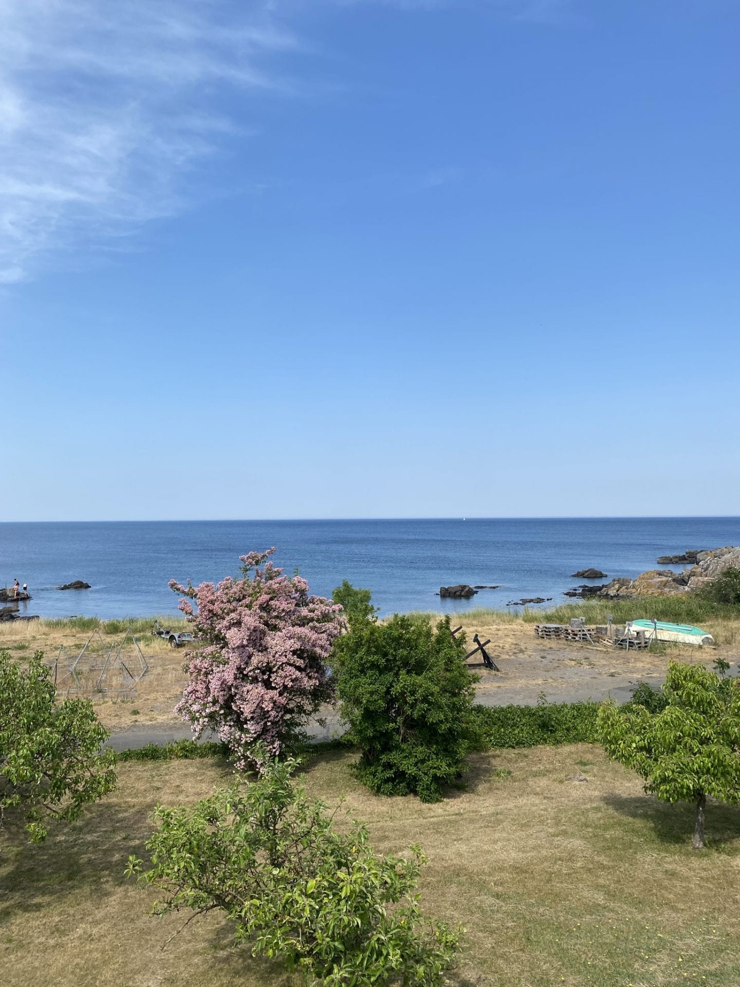 ansvarlig - gå - gåtur - gå mig glad - gå mens du arbejder - Bornholm