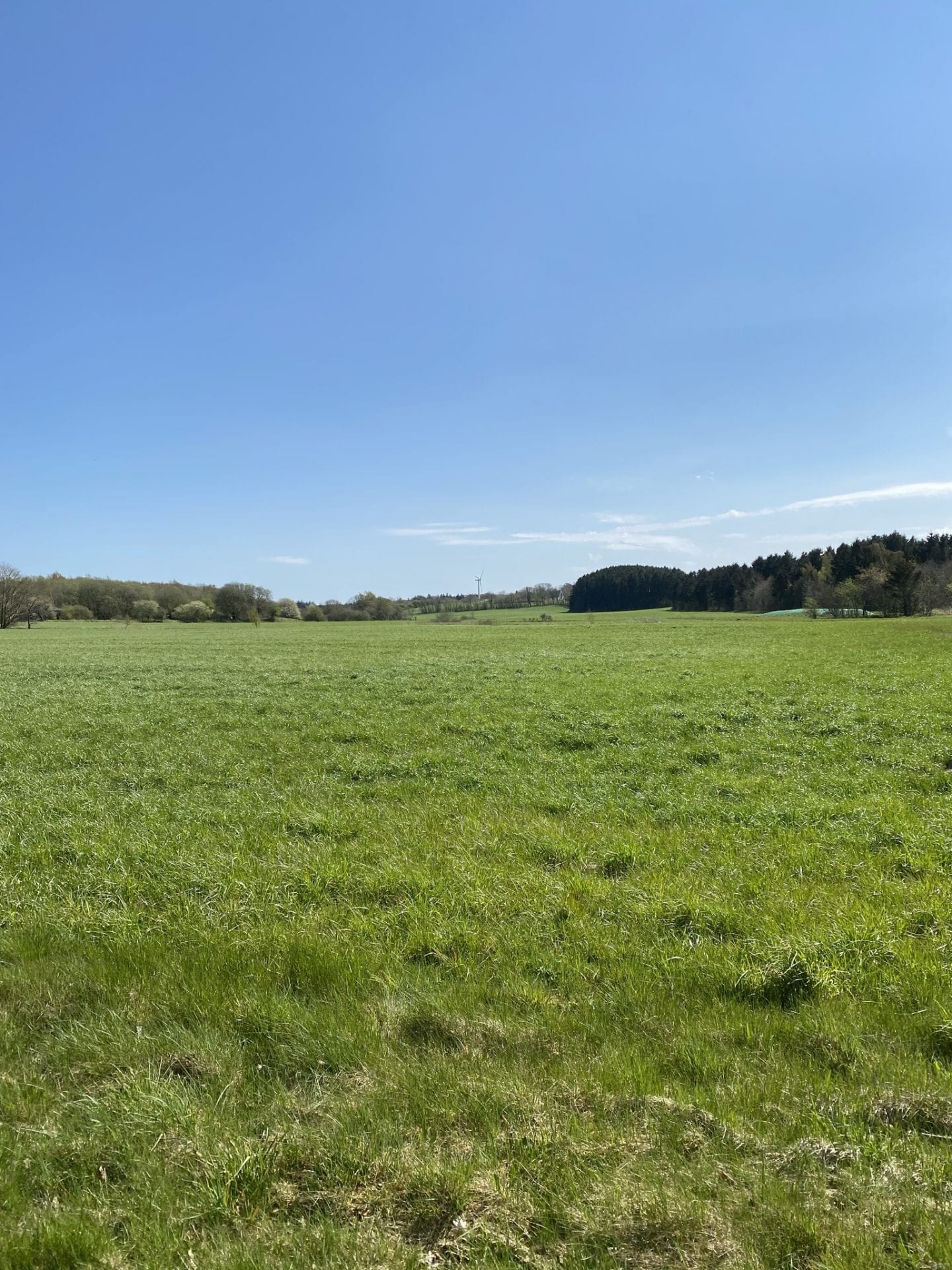 døden - gå mig glad - gå mens du arbejder - Kolding -