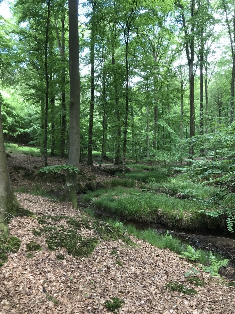 downsize - gå - Gå Mig Glad - gåtur -