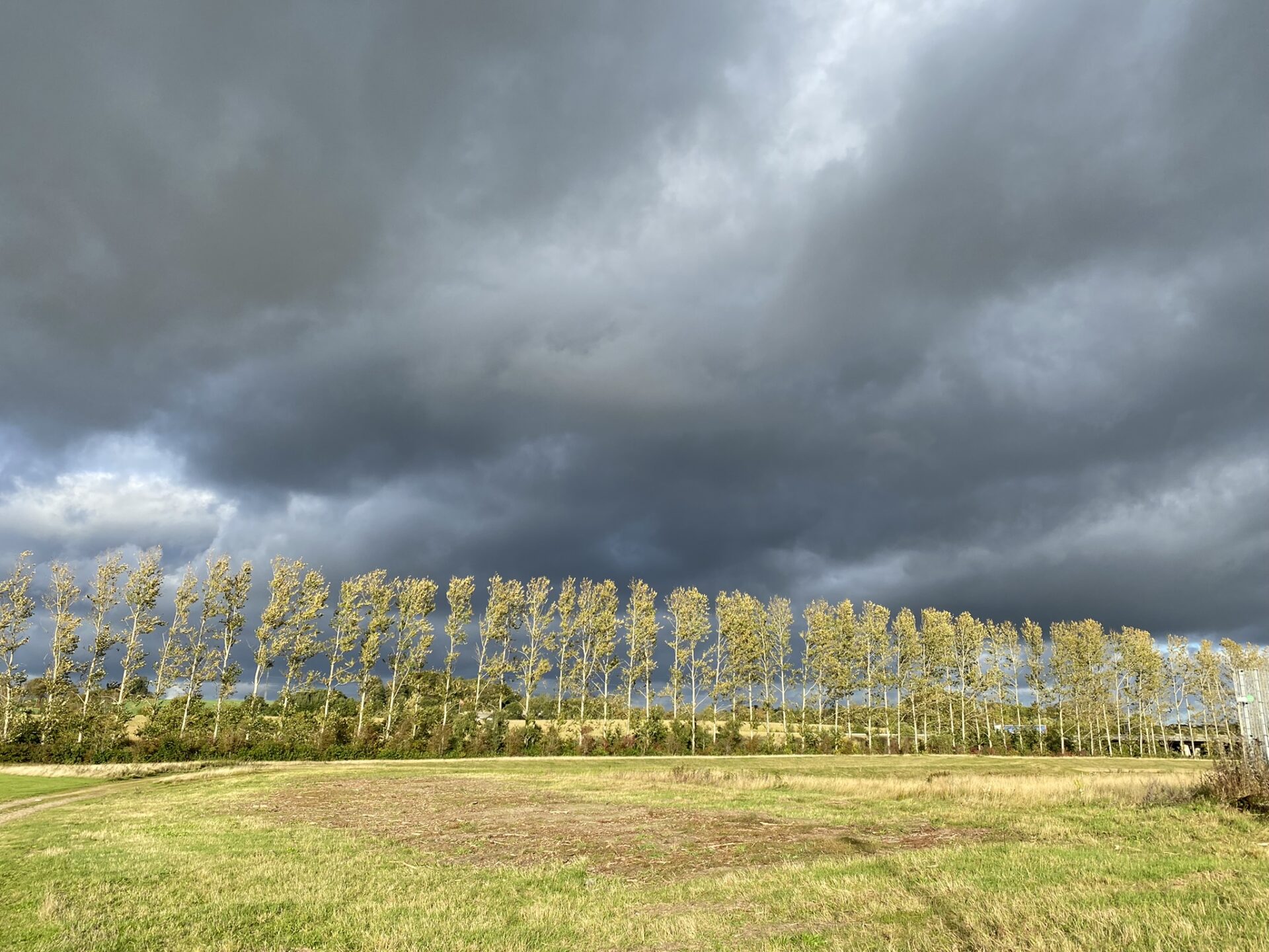 emne - Gå Mig Glad - gå mens du arbejder - gå fem minutter - gå - gang - gik