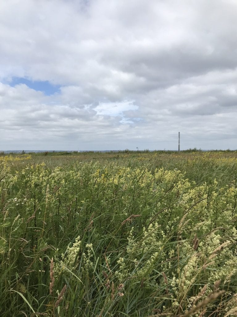 fællesskab - Gå Mig Glad - gå - gåtur - Coop