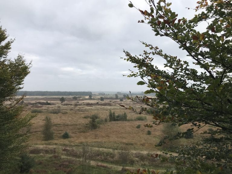 fanatisk - gåtur - gåmensduarbejder - gåmigglad - natur - gådigsundinaturen