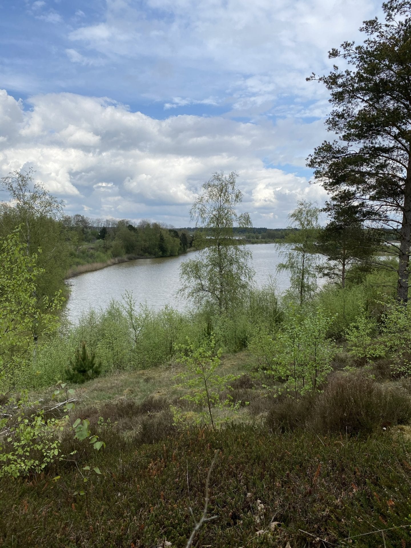 gå- gå mig glad - venskab - gå mens du arbejder - Kolding - gåtur - gåvært