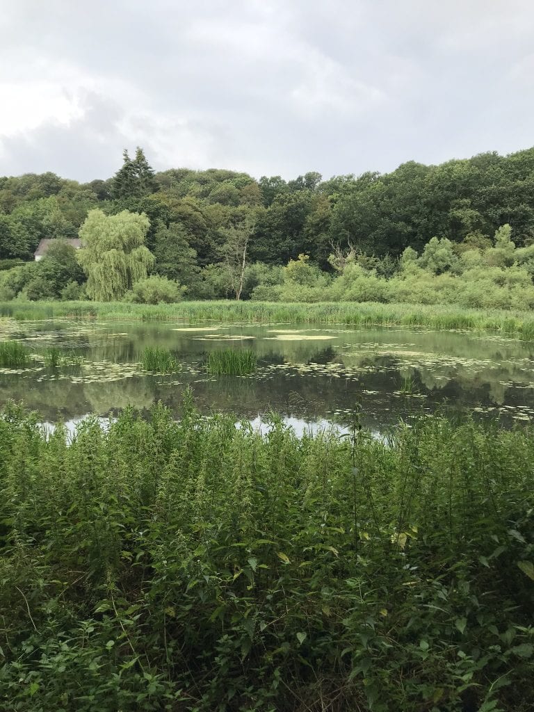 gå - gåtur - Gå Mig Glad - sådan en der -