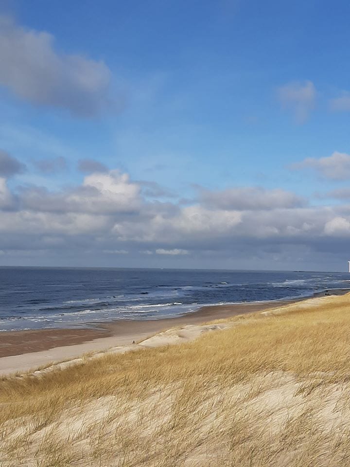 gå-motion - Gå Mig Glad - gang - skjulte - gårgå-motion - Gå Mig Glad - gang - skjulte - går