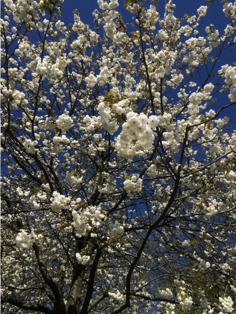 Gå Mig Glad - gåtur- gå - går