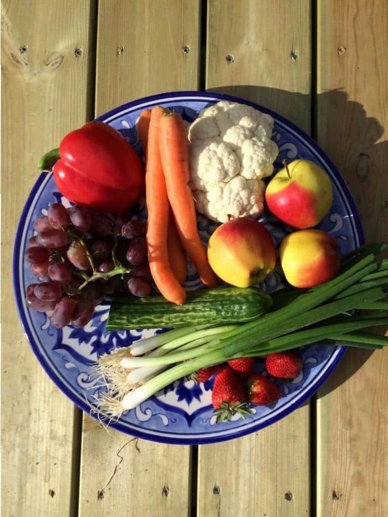 Gå Mig Glad - gåtur- gå - går