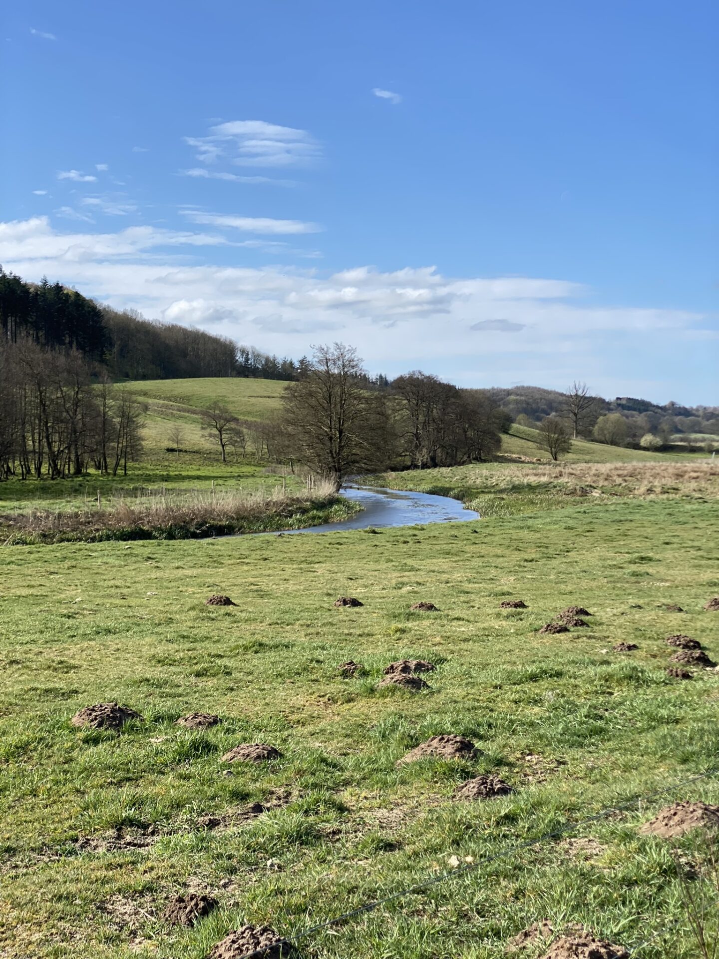 ikke - gå mig glad - Kolding